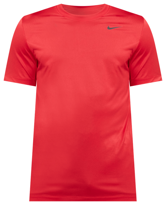 Men's Dri-fit Legend Fitness T-Shirt