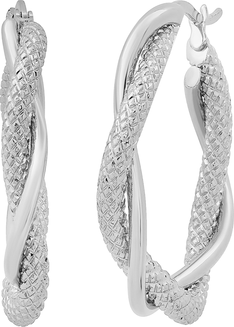 Women's Stainless Steel Twisted Double Layered Hoop Earrings