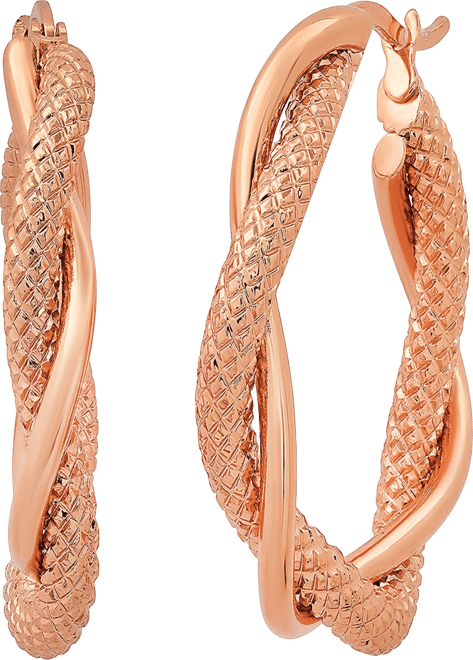 Women's Stainless Steel Twisted Double Layered Hoop Earrings