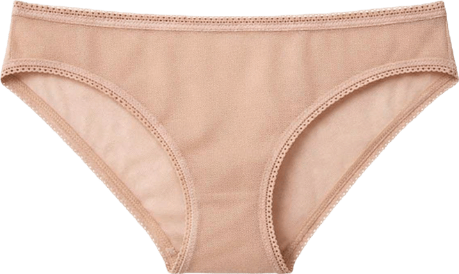 Women's Mesh Bikini Underwear 3202