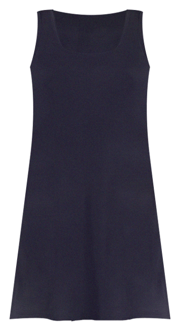 Petite Sleeveless A-Line Fit and Flare Skater Dress