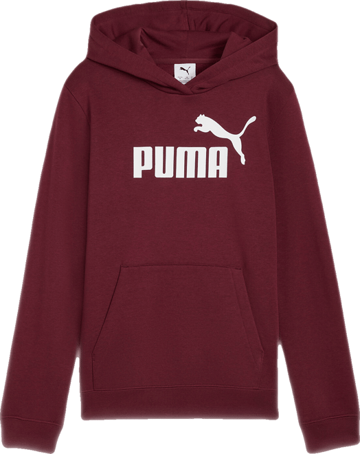PUMA Essentials Big Kids' Fleece Hoodie