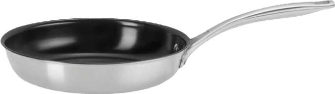 Essential Stainless Steel 9.5" Nonstick Frypan