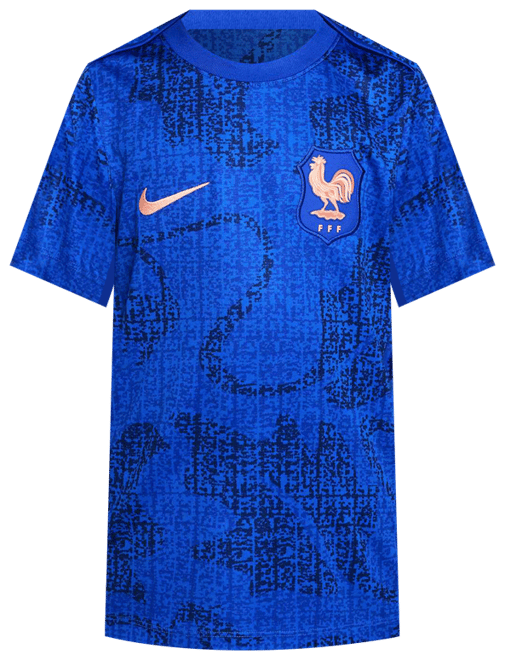 FFF Academy Pro Older Kids' Nike Dri-FIT Football Pre-Match Short-Sleeve Top
