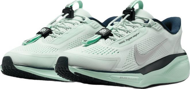 Nike Pegasus EasyOn Women's Road Running Shoes
