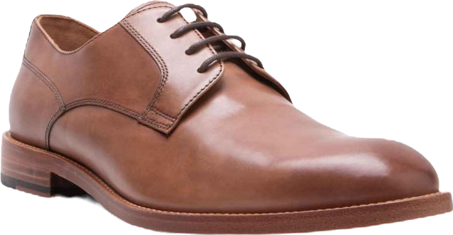 Men's Hastings Dress Lace-Up Plain Toe Derby Leather Shoes