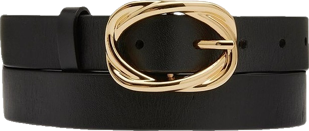 Zinnia Leather Belt in Black/Gold