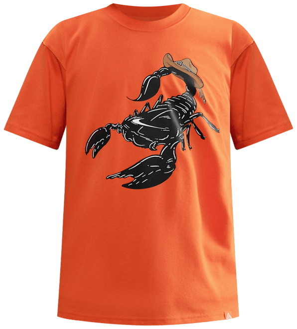 Nike ACG Men's T-Shirt
