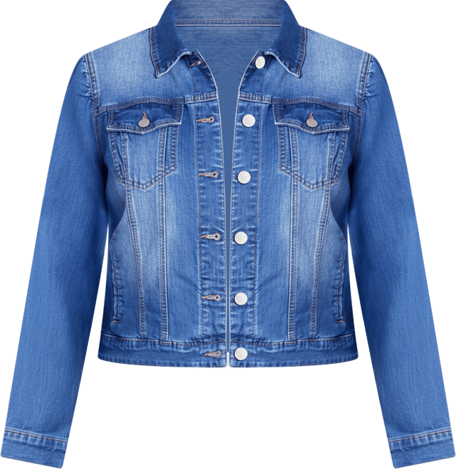 Plus Size Kira Denim Jacket