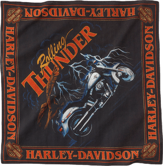 Lightning Bolt Graphic Bandana