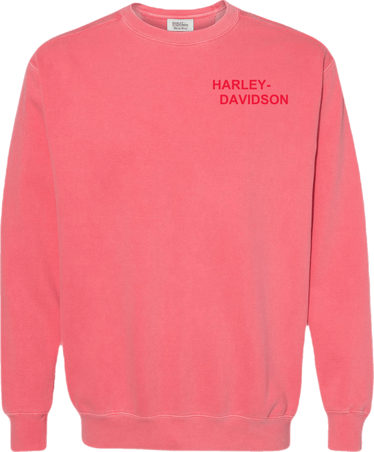Oversized H-D Moto Co. Print Crew