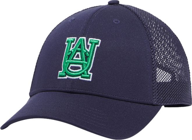 Men's Blitzing Trucker Hat