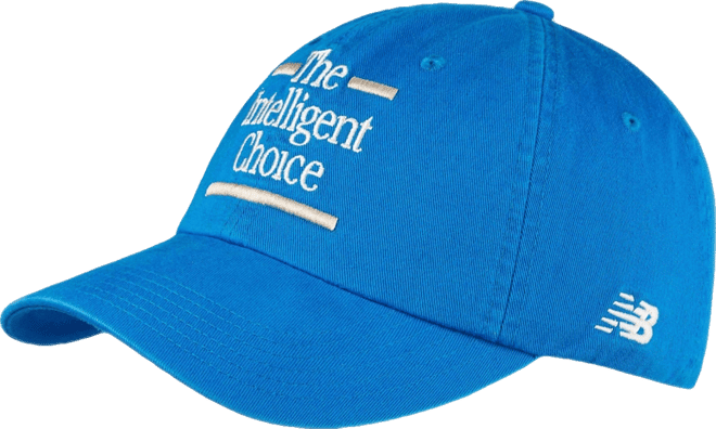 Men's The Intelligent Choice Sea Stone Baseball Cap
