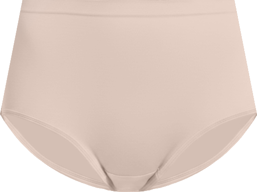 Women's Brief Panties