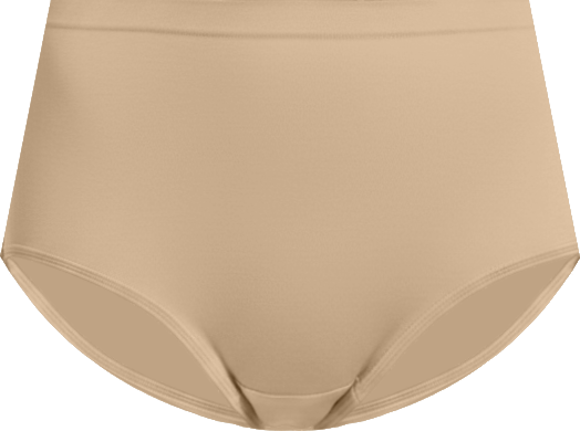 Women's Brief Panties