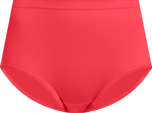 Women's Brief Panties