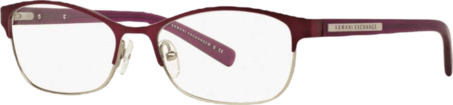 Armani Exchange AX1010 Women's Oval Eyeglasses