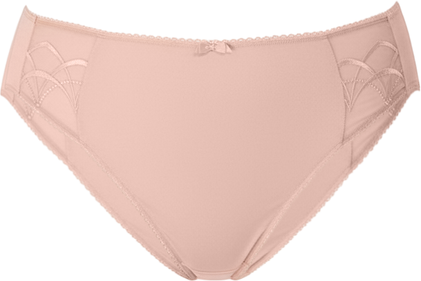 Women's Plus Size Cate Brief Underwear EL4035