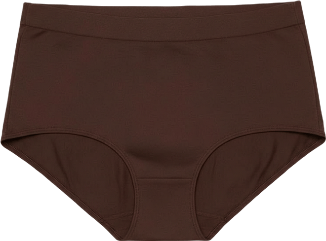 Women's Body Smooth Seamless Brief Panty