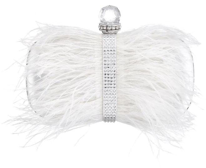 Women's Feather Embellished Minaudiere Clutch