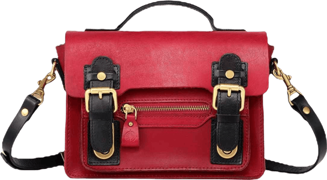 Women's Genuine Leather Aster Mini Satchel