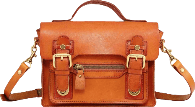 Women's Genuine Leather Aster Mini Satchel