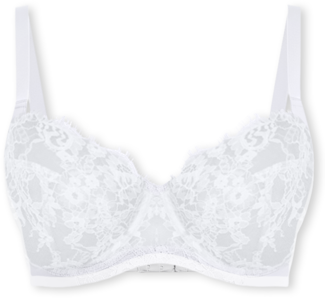 Women's Entice Lace Full Coverage Underwire Bra