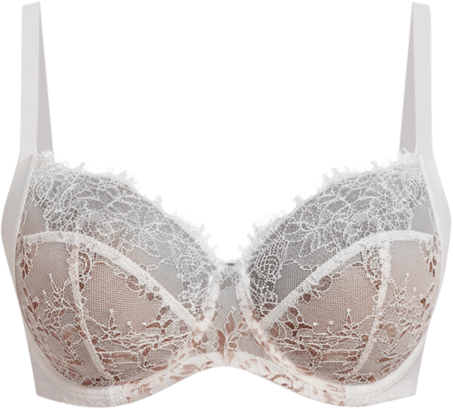 Women's Entice Lace Full Coverage Underwire Bra