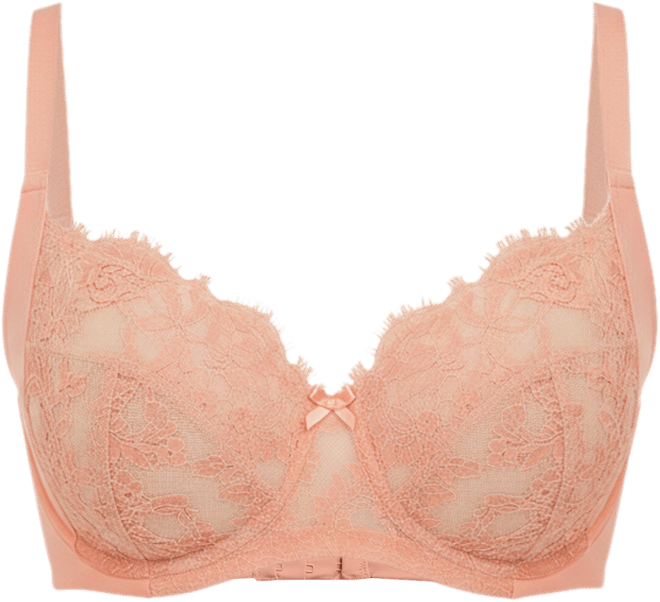 Women's Entice Lace Full Coverage Underwire Bra