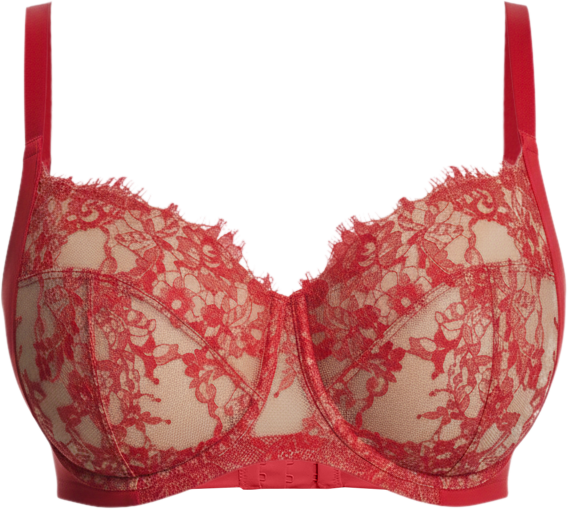 Women's Entice Lace Full Coverage Underwire Bra