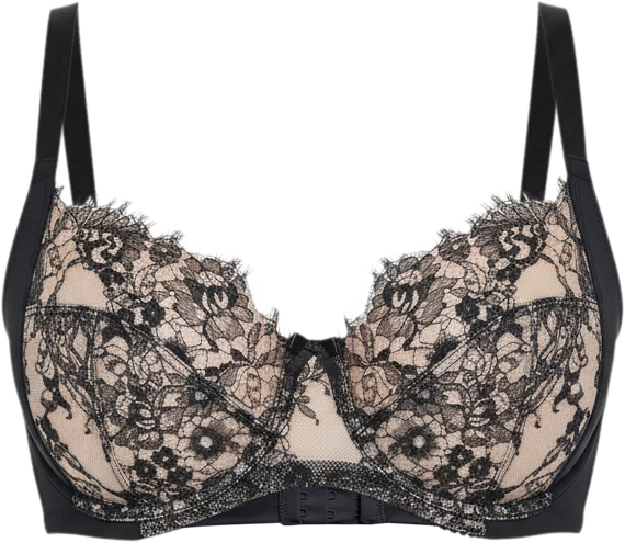 Women's Entice Lace Full Coverage Underwire Bra