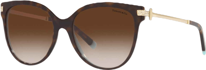 Women's Sunglasses, TF4193B