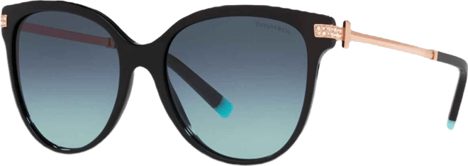 Women's Sunglasses, TF4193B