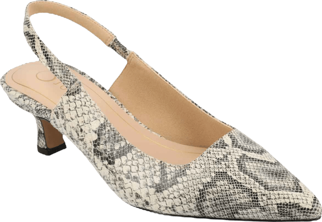 Women's Paulina Pointed Toe Slingback Pumps