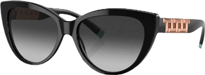 Women's Sunglasses, TF419656-y