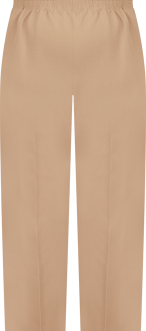 Plus Size Classic Pull-On Straight-Leg Short Length Pants