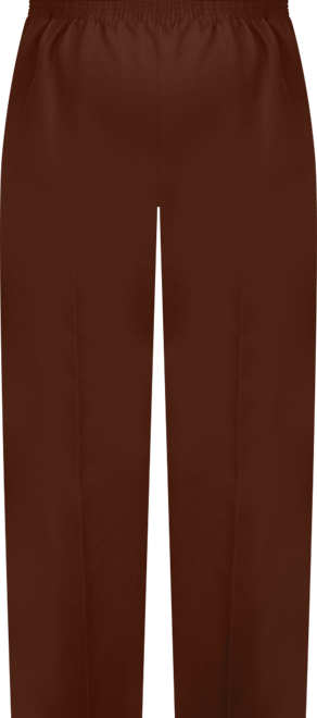 Plus Size Classic Pull-On Straight-Leg Short Length Pants