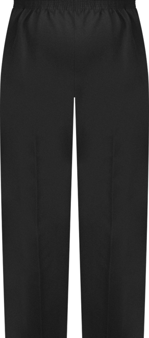 Plus Size Classic Pull-On Straight-Leg Short Length Pants