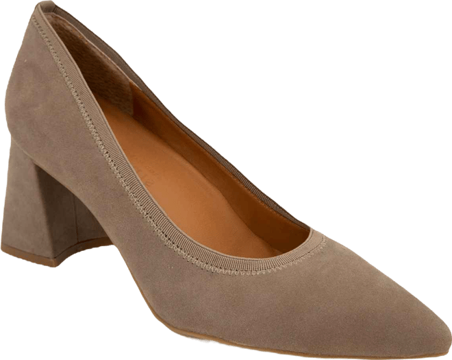 Women's Dionne Block Heel Pointy Toe Pumps