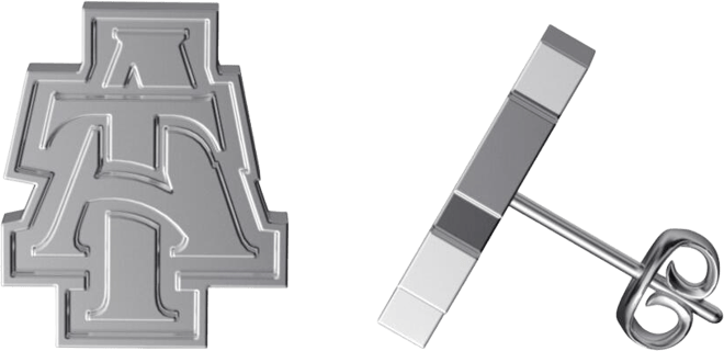 Women's  North Carolina A&T Aggies Team Logo Silver Post Earrings