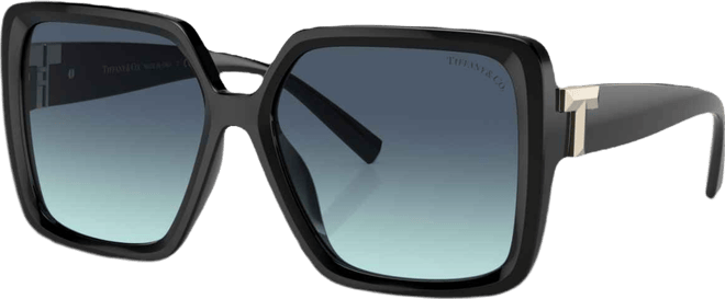 Women's Sunglasses, TF4206U