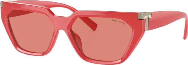 Women's Sunglasses, TF4205U