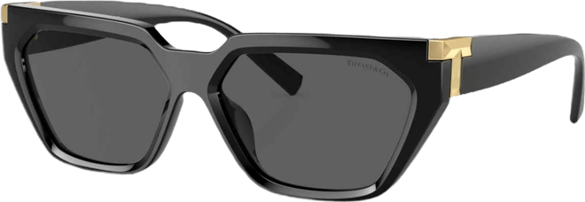 Women's Sunglasses, TF4205U