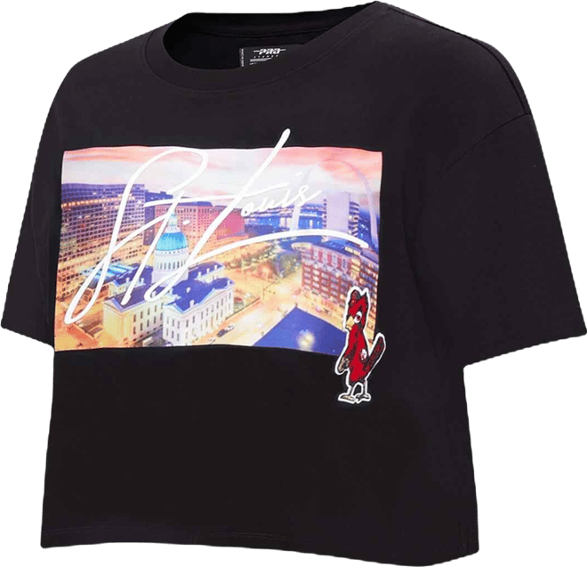 Women's  Black St. Louis Cardinals Cityscape Boxy T-shirt