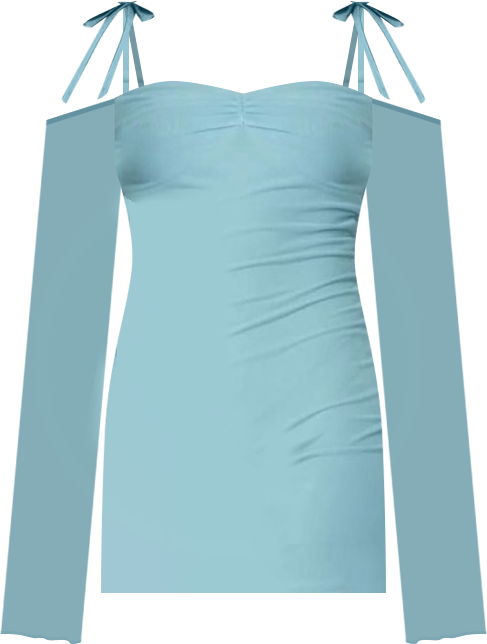 Women's Ariel Off Shoulder Mesh Mini Dress