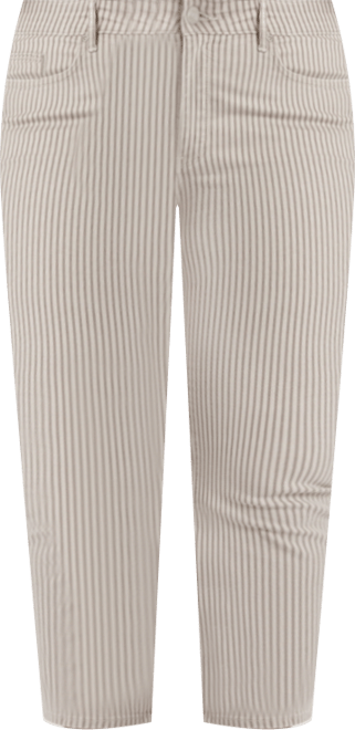 Plus Size Marilyn Ankle Jeans