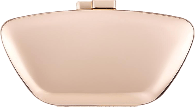 Mirror Metallic Minaudiere Clutch
