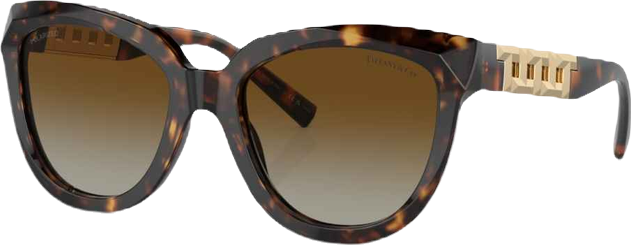 Women's Polarized Sunglasses, Gradient TF4215