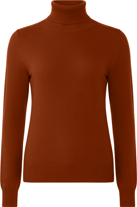 Women's 100% Pure Cashmere Long Sleeve Turtleneck Pullover Sweater