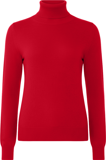 Women's 100% Pure Cashmere Long Sleeve Turtleneck Pullover Sweater